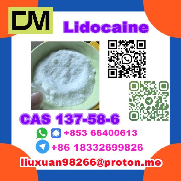  Manufacturer Supply Raw Material CAS 137586 Lidocaine
